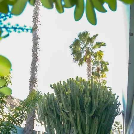 Lufesa Lägenhet Puerto Rico (Gran Canaria)