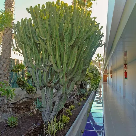 Appartement Lufesa *